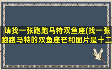 请找一张跑跑马特双鱼座(找一张跑跑马特的双鱼座芒和图片是十二生肖的)