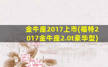 金牛座2017上市(福特2017金牛座2.0t豪华型)