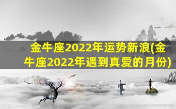 金牛座2022年运势新浪(金牛座2022年遇到真爱的月份)