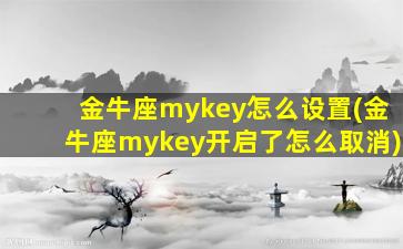 金牛座mykey怎么设置(金牛座mykey开启了怎么取消)