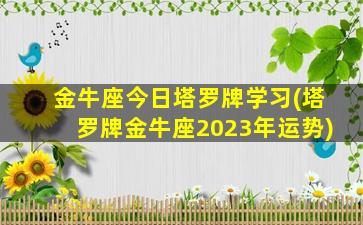 金牛座今日塔罗牌学习(塔罗牌金牛座2023年运势)