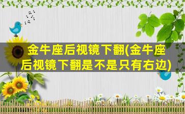 金牛座后视镜下翻(金牛座后视镜下翻是不是只有右边)