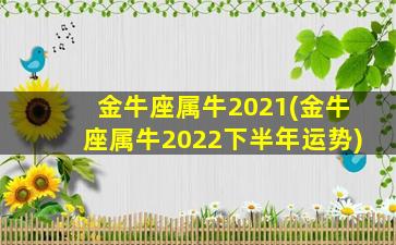 金牛座属牛2021(金牛座属牛2022下半年运势)