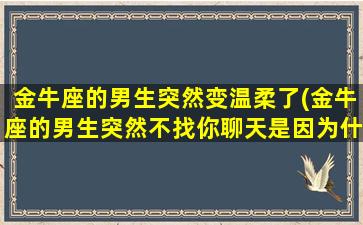 金牛座的男生突然变温柔了(金牛座的男生突然不找你聊天是因为什么)