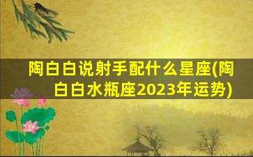 陶白白说射手配什么星座(陶白白水瓶座2023年运势)