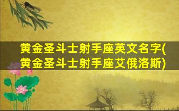 黄金圣斗士射手座英文名字(黄金圣斗士射手座艾俄洛斯)