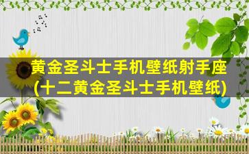 黄金圣斗士手机壁纸射手座(十二黄金圣斗士手机壁纸)